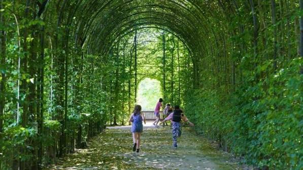 Alnwick Castle and Garden: A Northumberland Day Out