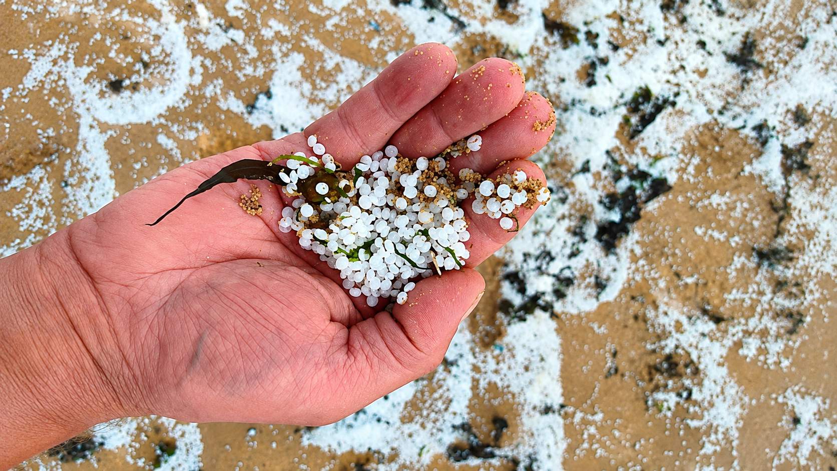 Billions of Nurdles: Why Are They Still on Our Beaches?