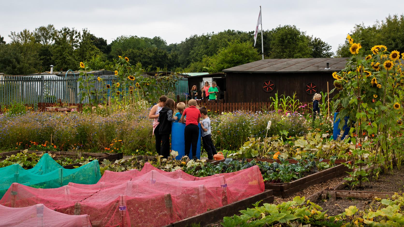 Down on the City Farm: Tyneside's Community Farms
