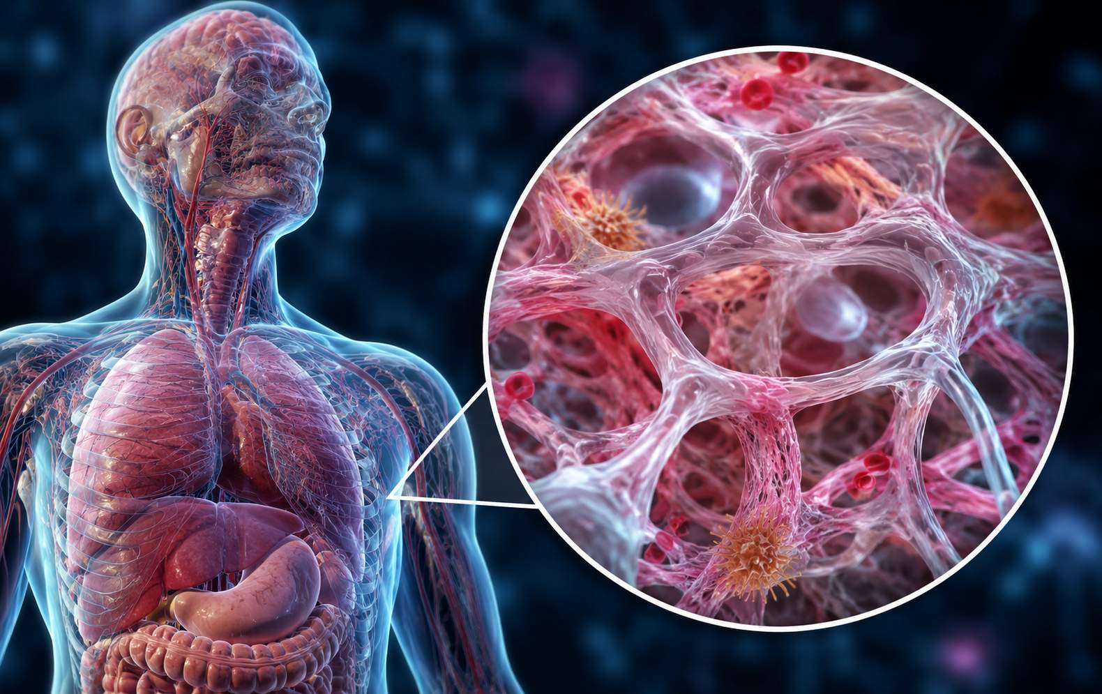 Medical Breakthrough Reveals Hidden Structure Inside the Human Body