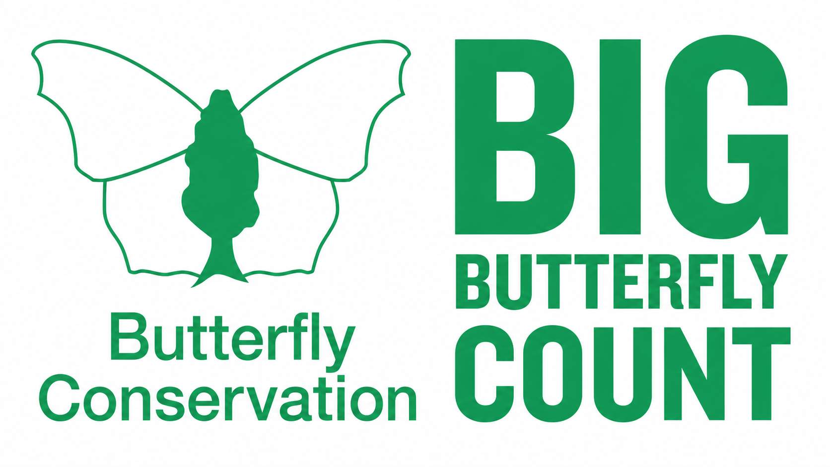 Newcastle Residents Urged to Help Count Butterflies