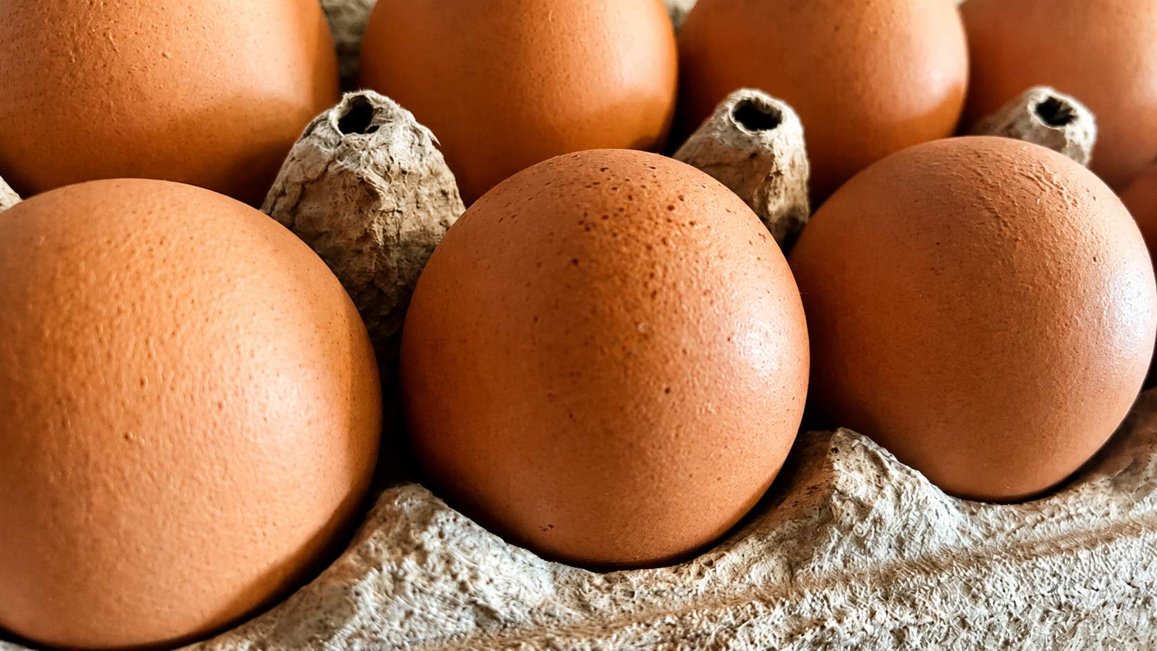 UK Salmonella Cases Rise to Over 200 - Newcastle Safety Advice